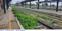 57) Fotografia: Sezze Romano