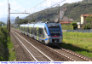 1922) Fotografia: Forte dei Marmi+Seravezza+Querceta (Circolare: 01-2024)