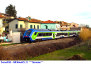 105) Fotografia: Granaiolo