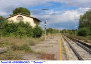 108) Fotografia: Rigomagno