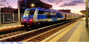 2043) Fotografia: Latina (Circolare: 10-2024)