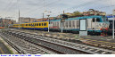 1164) Fotografia: Roma Tuscolana (Circolare: 11-2024)
