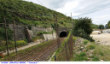 2049) Fotografia: (Gracilli Nord) (Circolare: 11-2024)