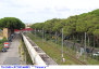 2059) Fotografia: Rosignano (Circolare: 11-2024)