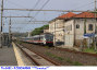 2062) Fotografia: Rosignano (Circolare: 11-2024)
