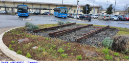 2077) Fotografia: Grosseto (Circolare: 12-2024)