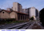 384) Fotografia: Palermo Lolli (Prima) (Circolare: 02-2025)
