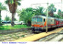 2137) Fotografia: Sanremo