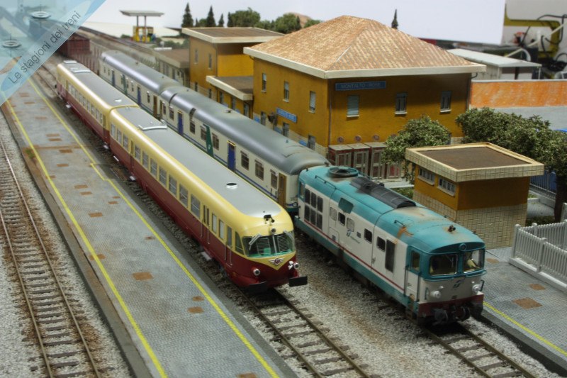 foto successiva