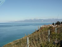  Panorami da Pizzo 
