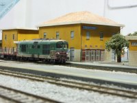  Montalto - Rose 
